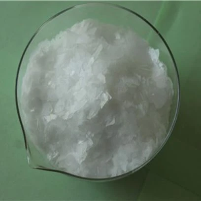 Polycarboxylatmonomer EPEG